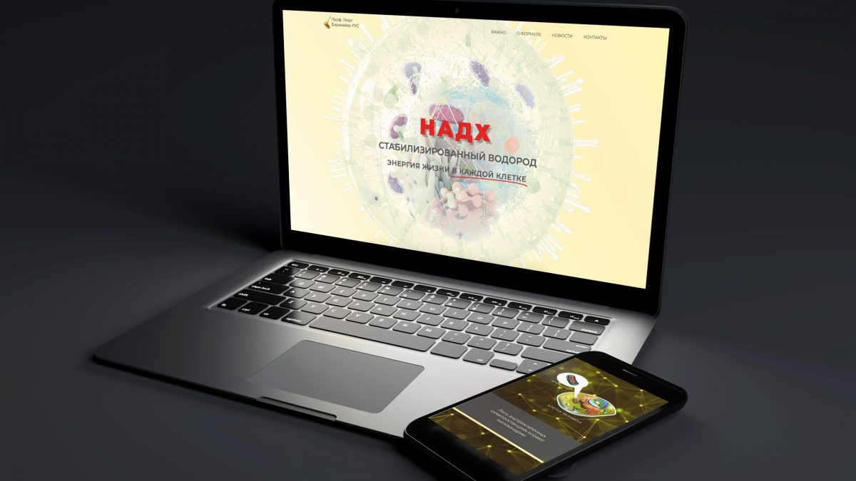 Website for NADH